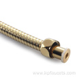 Replacement Pipe Gold Flexible Shower Hose